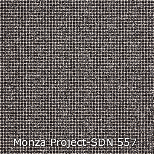 Monza Project-557